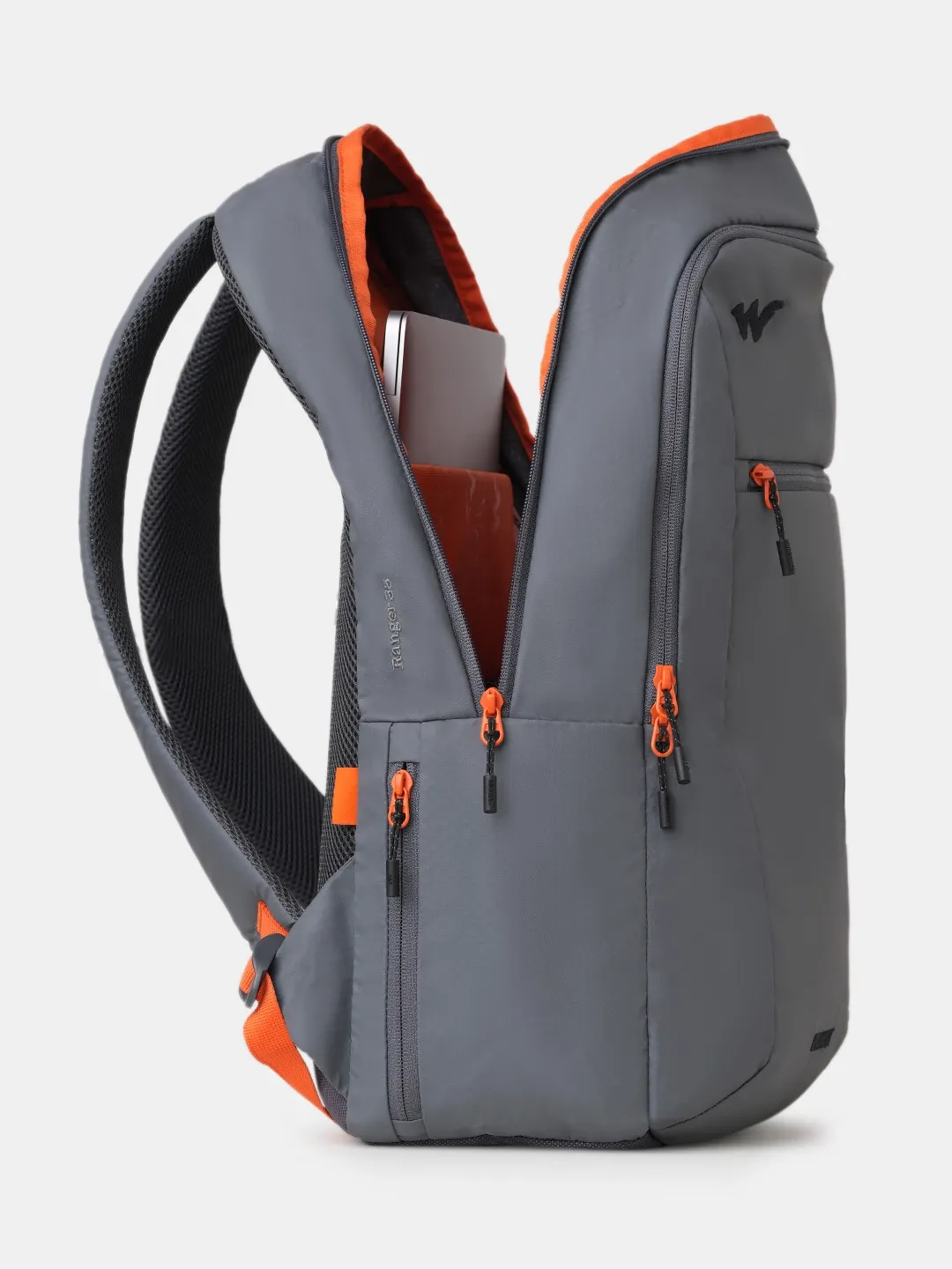 Ranger 35 Litres Laptop Backpack-Grey